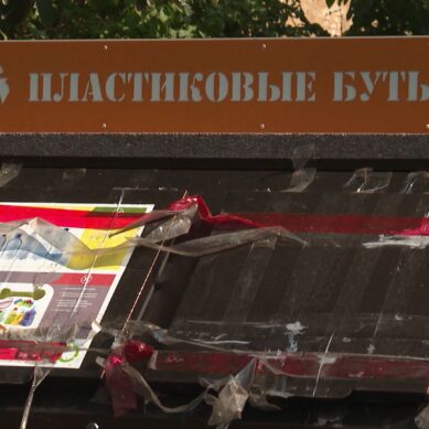 За вывоз отходов с территории Калининградской области не нужно будет платить пошлину