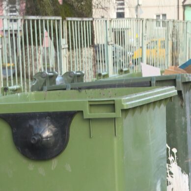 В Калининграде появится более 250 благоустроенных площадок для мусора