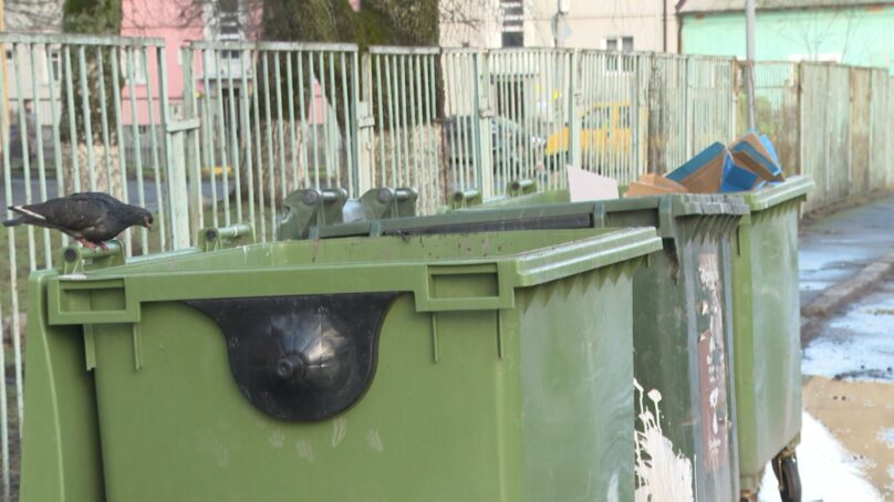 В Калининграде появится более 250 благоустроенных площадок для мусора