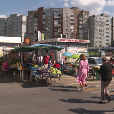Сколько нелегальных точек в Калининграде: рейд по городу