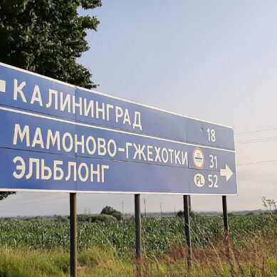 Закрылся пограничный пункт пропуска «Мамоново–Гжехотки». Ситуация связана с протестами польских фермеров