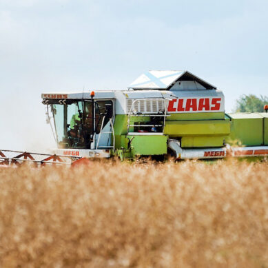 На возмещение затрат производителям зерна выделят 245 млн рублей