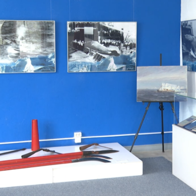 В Калининграде открылась выставка, посвящённая китобойной флотилии