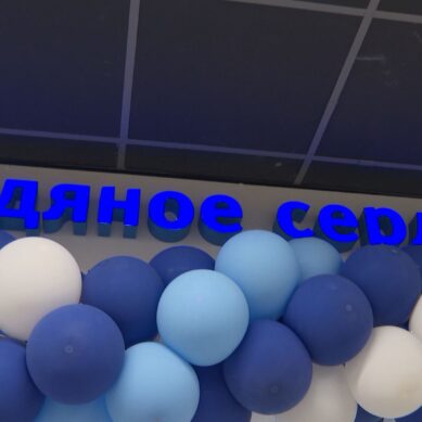 В Калининграде открылся магазин сети замороженных продуктов «Ледяное сердце»