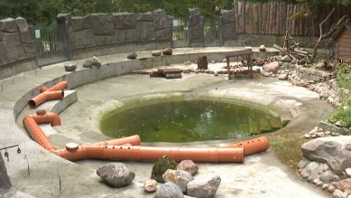В Калининградском зоопарке построили выдропровод