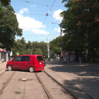 В Калининграде у Центрального парка появится уличный мини-рынок