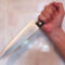 Разбойники XXI века: калининградцу приставили к горлу нож в собственной квартире