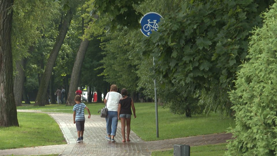В Калининграде продолжается подготовка дорог для велосипедистов