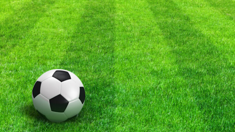 В Гусеве молодые футболисты тестируют искусственный газон