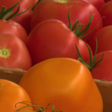 Упругий и неровный: эксперты раскрыли секрет выбора самых вкусных томатов