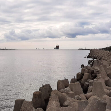 Калининградцев приглашают на субботник, который состоится на берегу моря в Балтийске