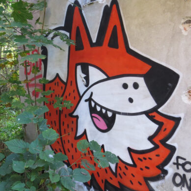 В Калининграде создали приложение для выявления незаконных граффити