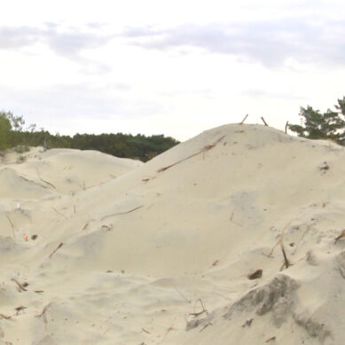 Прокуратура прокомментировала предполагаемый снос дюн под Зеленоградском