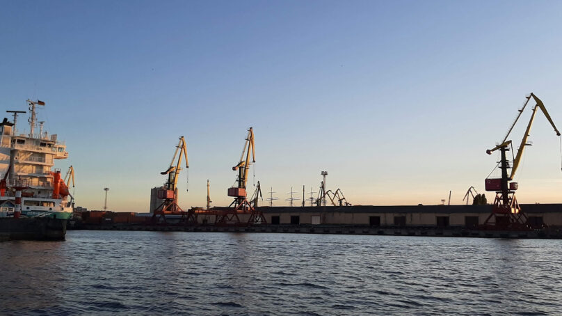 В калининградском торговом порту задержали 28 тонн бразильской говядины