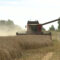 Калининградская область получит средства на поддержку сельского хозяйства