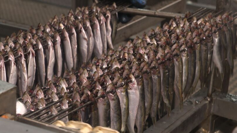 Калининградцы едят рыбы в два раза больше, чем жители Центральной части России