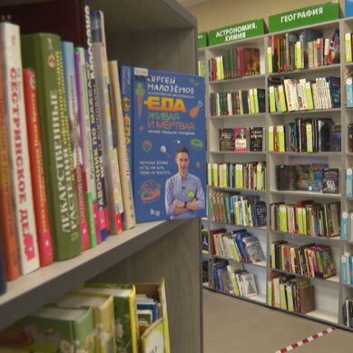 В областной детской библиотеке им. Гайдара откроется Неделя детской книги