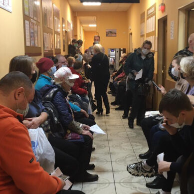 Алиханов: в Калининградской области возобновляется оказание социальных и медицинских услуг
