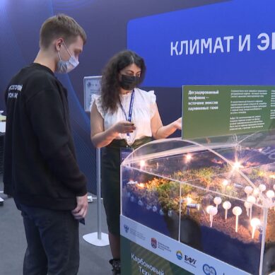Калининградцы участвуют в конгрессе молодых учёных в Сочи