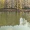 В озере Летнем в Калининграде спустят воду, чтобы очистить водоём