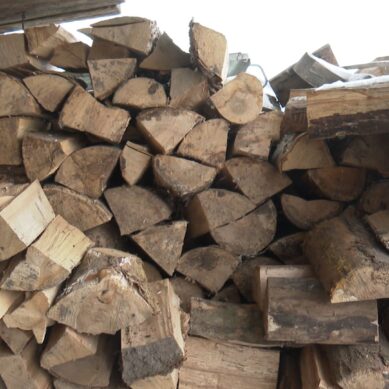 Жители области теперь смогут подавать заявления на заготовку древесины для собственных нужд через портал Госуслуг
