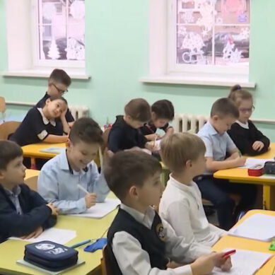 Новые стандарты образования заработают в России с 1 сентября 2022 года