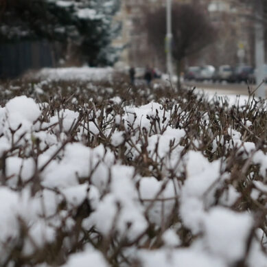 В феврале Калининград ждёт снег и новый циклон