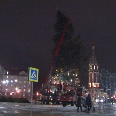 Новогодняя ёлка в Гусеве одна из самых больших в России