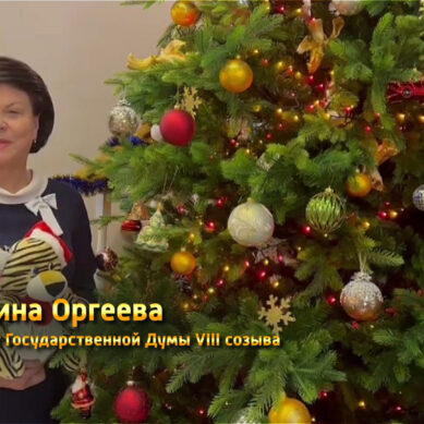 Поздравление Марины Оргеевой с Новым годом