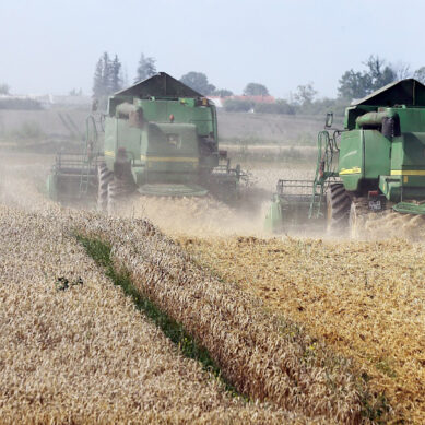 Инвесторы вложат в аграрный сектор Калининградской области почти  10 млрд рублей