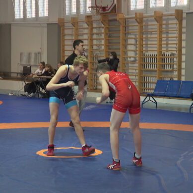В спортзале на Ореховой провели региональные соревнования по вольной борьбе
