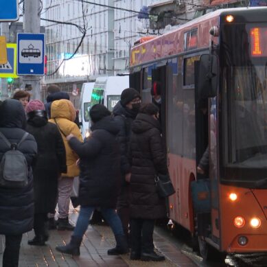 В Калининграде планируют изменить схему движения двух городских автобусов