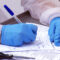 Краснова: «Основная нагрузка в борьбе с «омикроном» на поликлиниках»