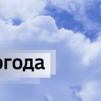 Прогноз погоды в Калининградской области на 3 февраля