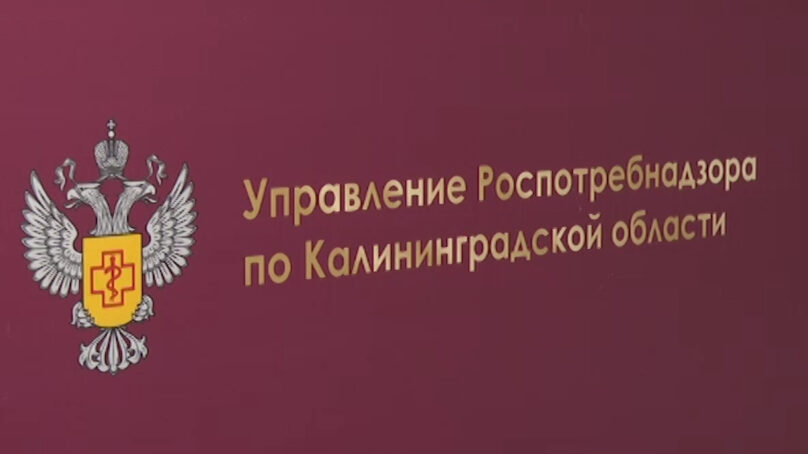 Роспотребнадзор Калининграда провёл эпидемиологическое расследование по информации о наличии грызунов в школе №6