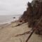 Как защитят побережье, пострадавшее от январских штормов