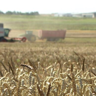 Власти Калининградской области рассказали о мерах поддержки для сельскохозяйственной отрасли