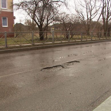 Елена Дятлова рассказала о качестве ремонта дорог