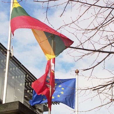 Временный поверенный РФ: Литва сама предлагает ЕС различные варианты, как нанести ущерб
