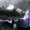 На ул. Багратиона циклон «Цейнеп» обрушил дерево на машины (ВИДЕО)