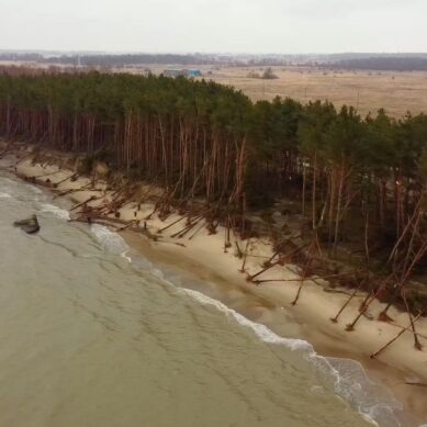 Размыта авандюна, повалены деревья  На побережье введут режим ЧС