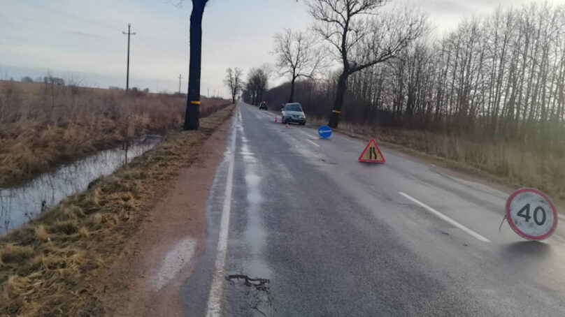 Под Гусевом «Хендэ» не справилась с управлением и врезалась в дерево