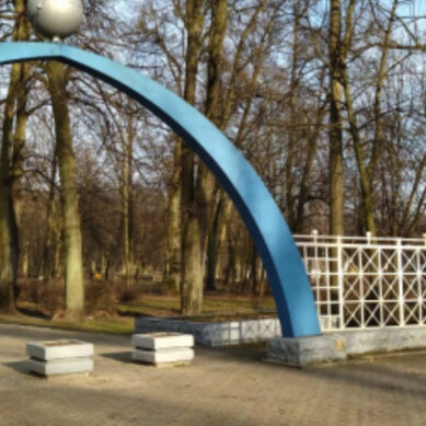 В Калининграде подростки нашли человеческие останки в парке