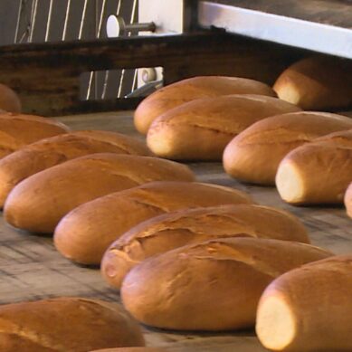 В региональном Роспотребнадзоре проконтролировали качество хлеба