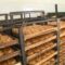 В Калининградской области на поддержку хлебопеков направили более 30 млн рублей