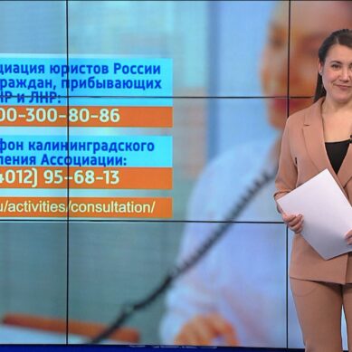 Идут пешком и едут, взяв с собой только самое необходимое. Калининградская область стала коридором для беженцев из Украины