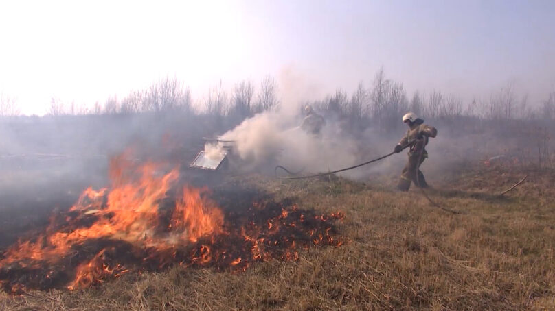 Пожарные 16 раз привлекались для тушения палов травы в Калининградской области