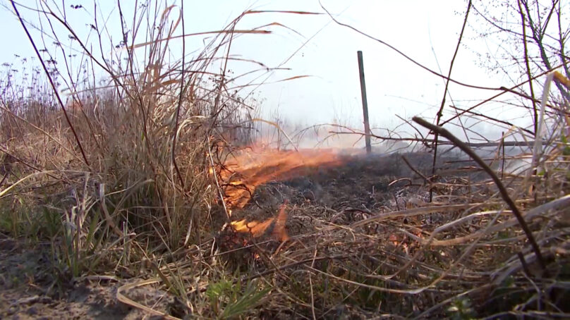 В сгоревшем поле рядом с Прибрежным обнаружено тело — предположительно мужчины