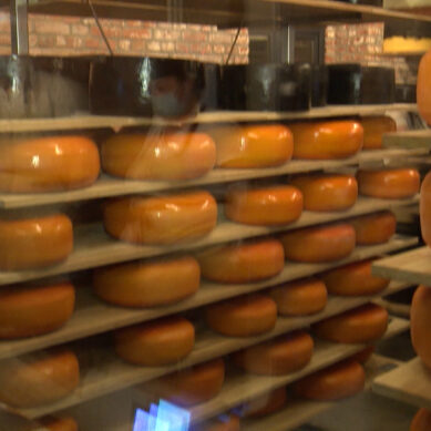 В Калининградской области изготовили более 4 тыс. тонн сыра в 2021 году