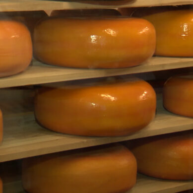 В Полесском районе выявили производство некачественного сыра